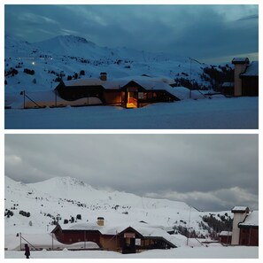 Exteriör