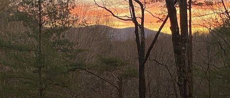 Seasonal view from upper deck