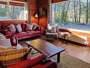 Living room | Willow Lodge, Dunoon