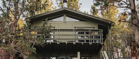 Our cabin is surrounded by ponderosa pines in Big Bear valley.