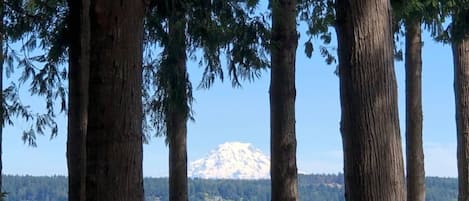 Enjoy this lovely view of Mount Rainier from the hot tub or the cozy couch. 