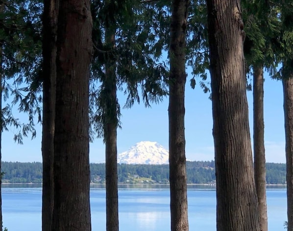 Enjoy this lovely view of Mount Rainier from the hot tub or the cozy couch. 