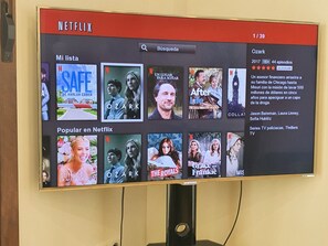 Television