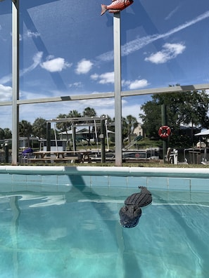 4' deep pool ready for playtime