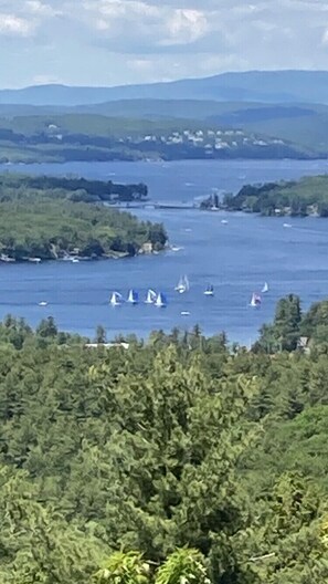 Summer view