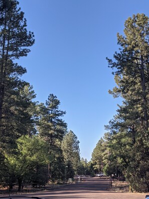 Boendeområde
