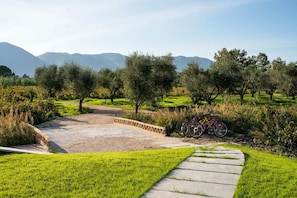 Terrain de l’hébergement 