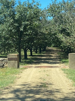 Entrance to Werrington