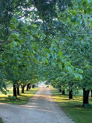 Long driveway 