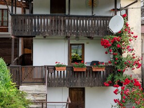 Pflanze, Gebäude, Eigentum, Blumentopf, Fenster, Tür, Zimmerpflanze, Holz, Blume, Interior Design
