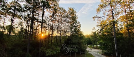 Sunrise from the cabin deck