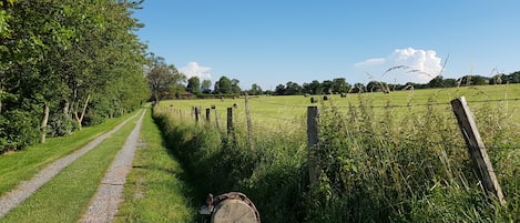 Overnatningsstedets område