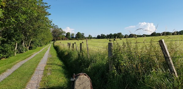 Boendeområde
