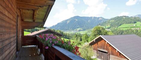 Terrasse / balkon