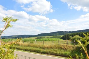 View from Holiday Home [summer]