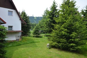 View from Holiday Home [summer]