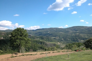 Aussicht vom Ferienhaus [Sommer]