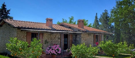 Extérieur maison de vacances [été]