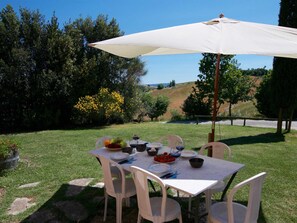 Terrasse / Balkon