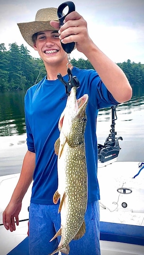 Northern Pike are one of many species in Annabessacook Lake.