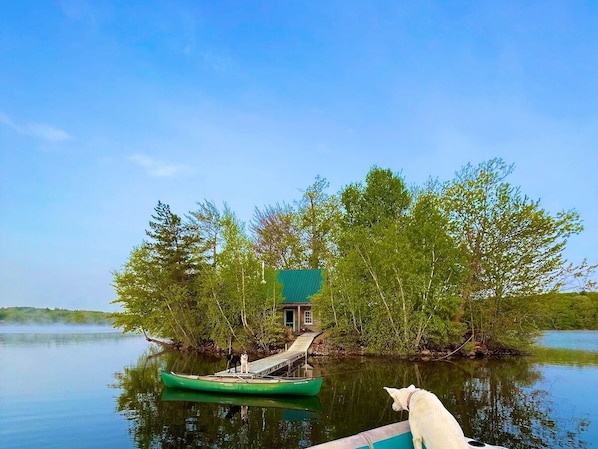 The Cabin at Naughty Dog Island:  It's a natural playground for unleashing and relaxing.