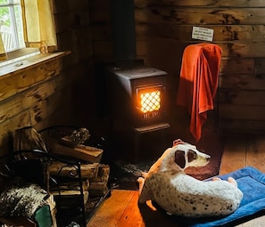 Furry friends love the Jotul wood stove as much as we do!