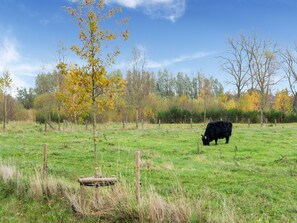 Surroundings [summer] (1-5 km)