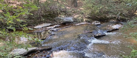 Beautiful creek just footsteps from your door.