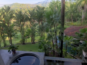 View from terrace towards pool