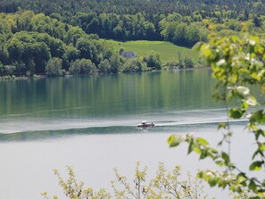 L'Eau, Plante, Ressources En Eau, Communauté Des Plantes, Écorégion, Paysage Naturel, Environnement Naturel, Bateau, Lac, Arbre