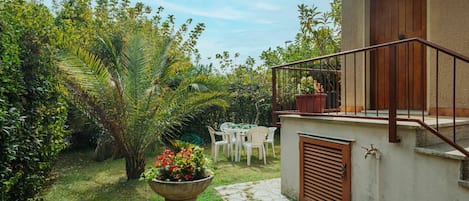 Pianta, Nube, Cielo, Costruzione, Proprietà, Foglia, Fiore, Vaso Di Fiori, Vegetazione, Lotto