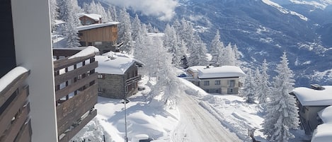 Terrain de l’hébergement 