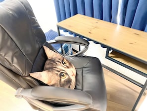 Interiör