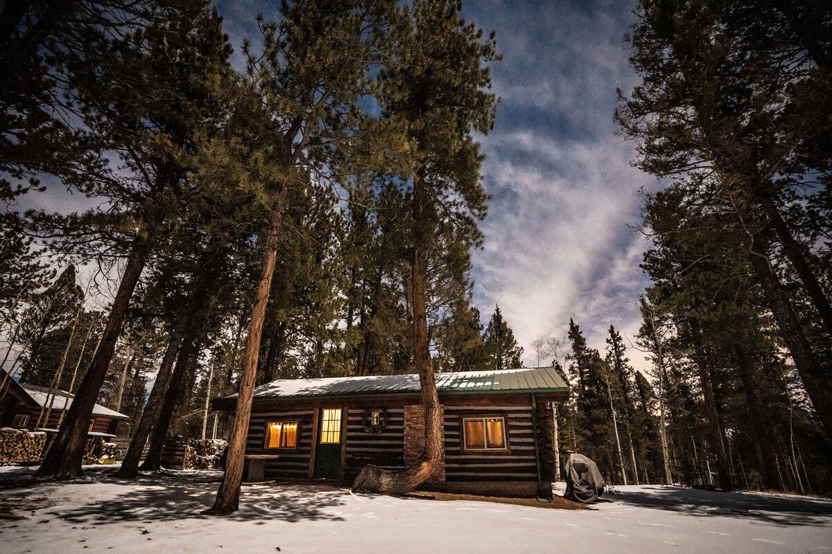 1950’s Retro Cabin on 40 Wooded Acres