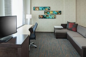 Living area, with a pull out sofa bed
