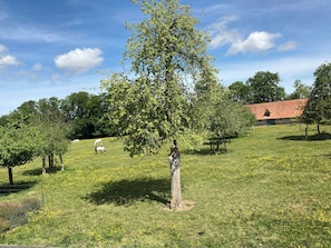Boendeområde