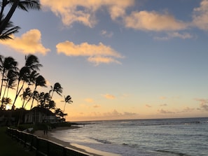 Good morning! (Yes, it's a real photo from the lanai). A typical morning here...