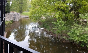 The view from the covered hot tub...Ducks and Swans don't mind..... and relax!!