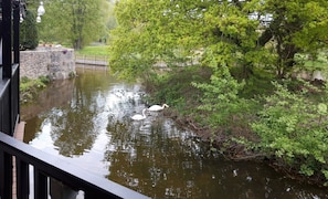 The view from the covered hot tub...Ducks and Swans don't mind..... and relax!!