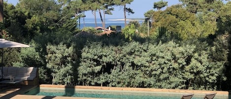 Vue de la terrasse. Piscine et le Cap Ferret en face