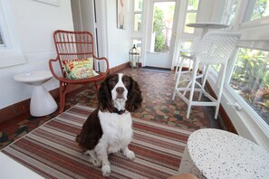Of course your pup may want to share the porch bed, too!