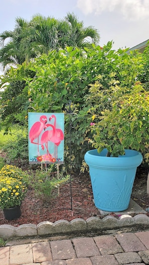 Carefree Flamingos