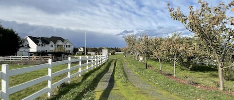 Overnattingsstedets uteområder