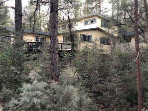 Pine Edge Cabin