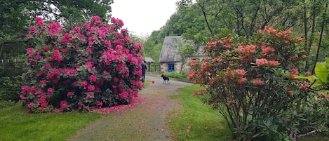 Overnatningsstedets område