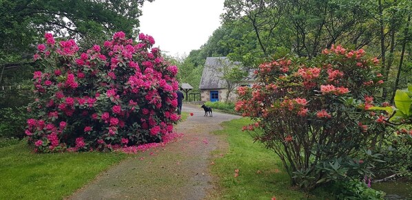 Boendeområde