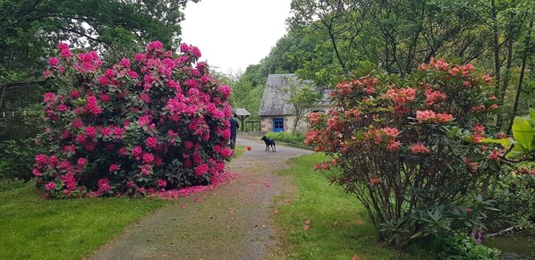 Jardines del alojamiento