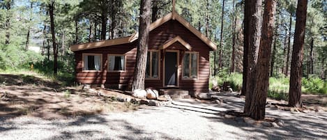 Pet Friendly Vacation Rental Cabin on 3.5 Acres between Durango and Purgatory Resort.