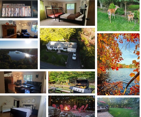 Miscellaneous