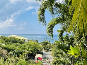 View from the patio of Caribbean Dreams